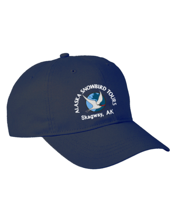 Baseball Hat - Navy