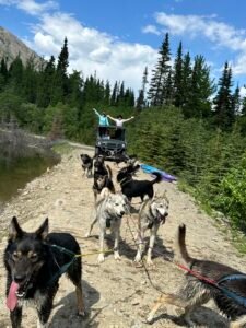 SLED DOG TOUR